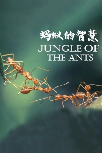 Im Regenwald der tropischen Ameisen,Jungle of the Ants
