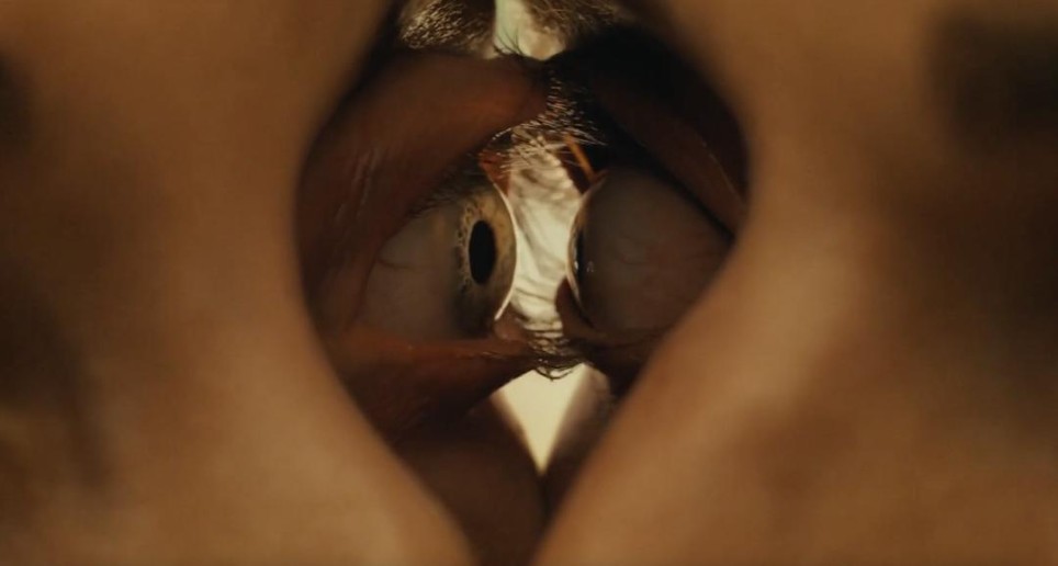 《同甘共苦》：异性恋的悲剧与跨性别未来主义的身体恐怖